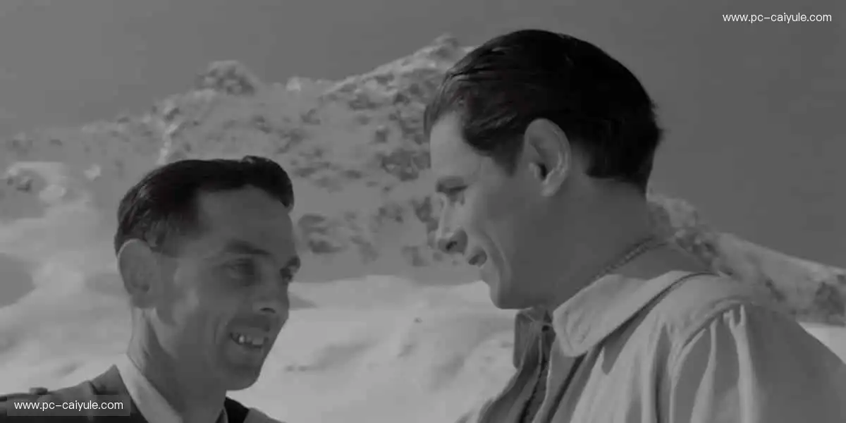 专业解说,深度剖析!🎙️